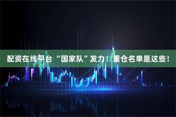 配资在线平台 “国家队”发力！重仓名单是这些！