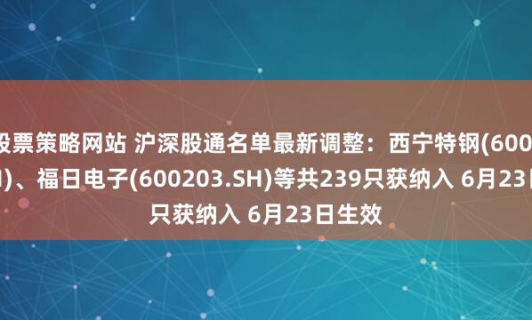 股票策略网站 沪深股通名单最新调整：西宁特钢(600117.SH)、福日电子(600203.SH)等共239只获纳入 6月23日生效