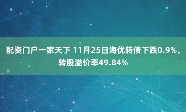 配资门户一家天下 11月25日海优转债下跌0.9%，转股溢价率49.84%