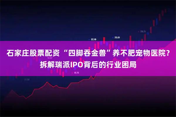 石家庄股票配资 “四脚吞金兽”养不肥宠物医院？拆解瑞派IPO背后的行业困局